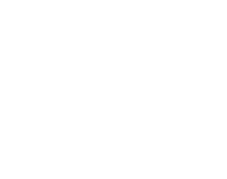 Your Wellness Goods